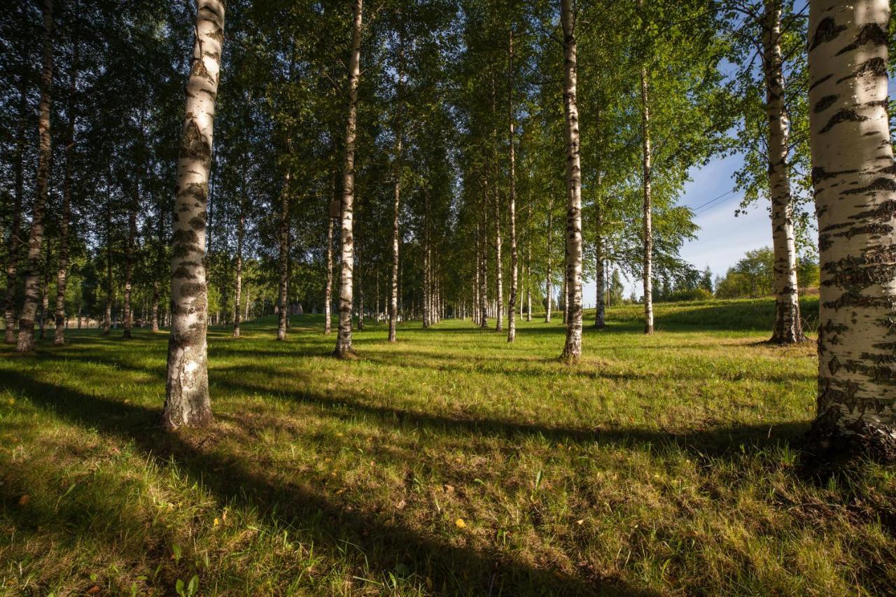 Polku Apartaments Virasoja Exterior foto