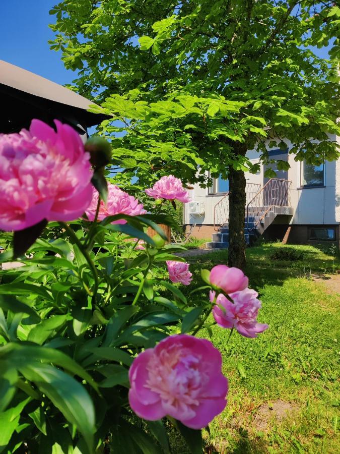 Polku Apartaments Virasoja Exterior foto